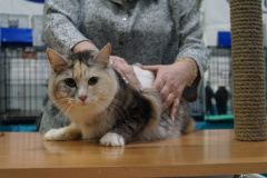 DSC04408