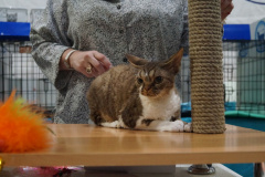 DSC04460