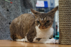 DSC04464