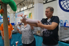 DSC04480