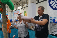 DSC04481