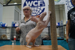 DSC04486