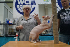 DSC04488