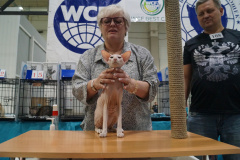 DSC04494