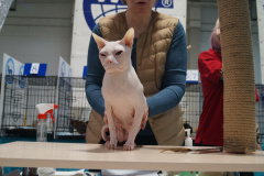 DSC04538