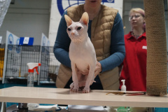 DSC04539