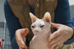 DSC04547