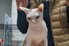DSC04549