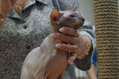 DSC04567