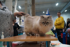 DSC04593