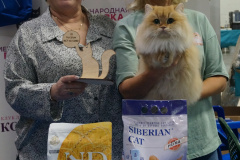 DSC04653