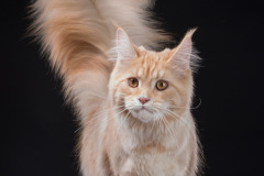 Vaal Gat - Fairy Vaal Gat