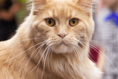 Vaal Gat - Lady Vaal Gat