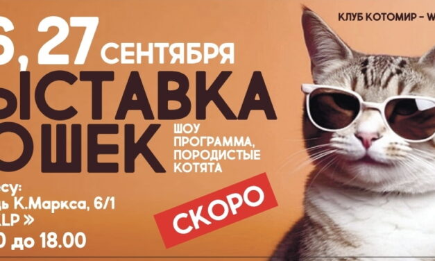 Регистрация на Международную выставку кошек WCF 26-27 сентября 2026 «Карнавал Котомира»