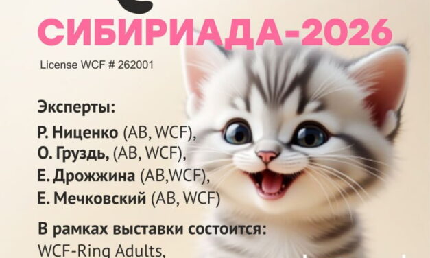 Международная выставка кошек WCF 25-26 апреля 2026 «Сибириада 2026»