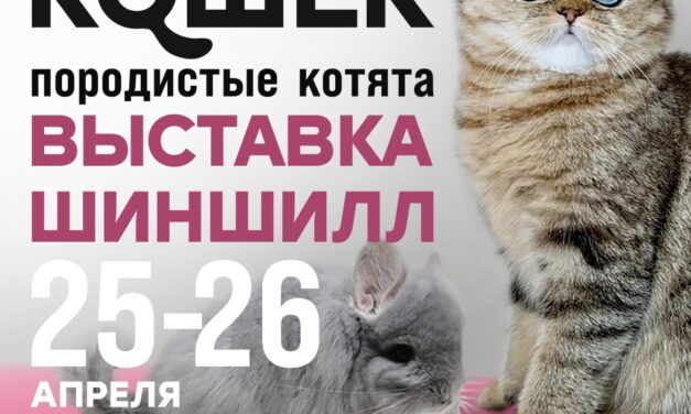 Международная выставка кошек WCF 25-26 апреля 2026 «Сибириада 2026»